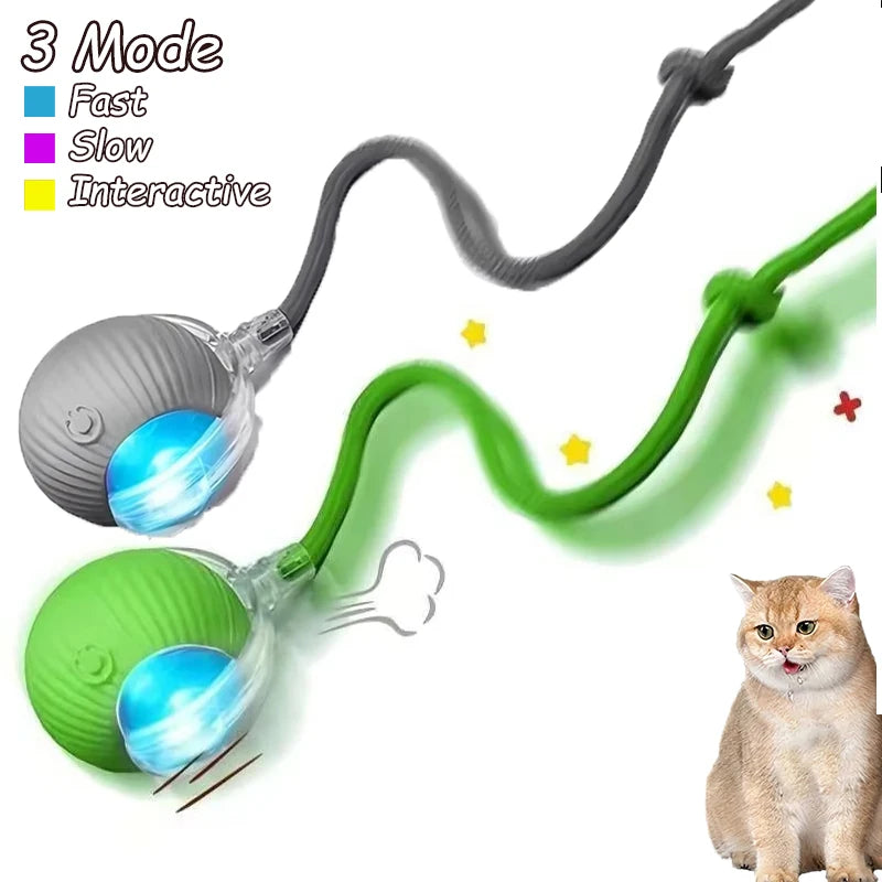 2Pcs Cat Interactive Ball, Automatic Rolling Ball Faux Tail ,Rechargeable Smart Pet Electric, Imitates a mouse