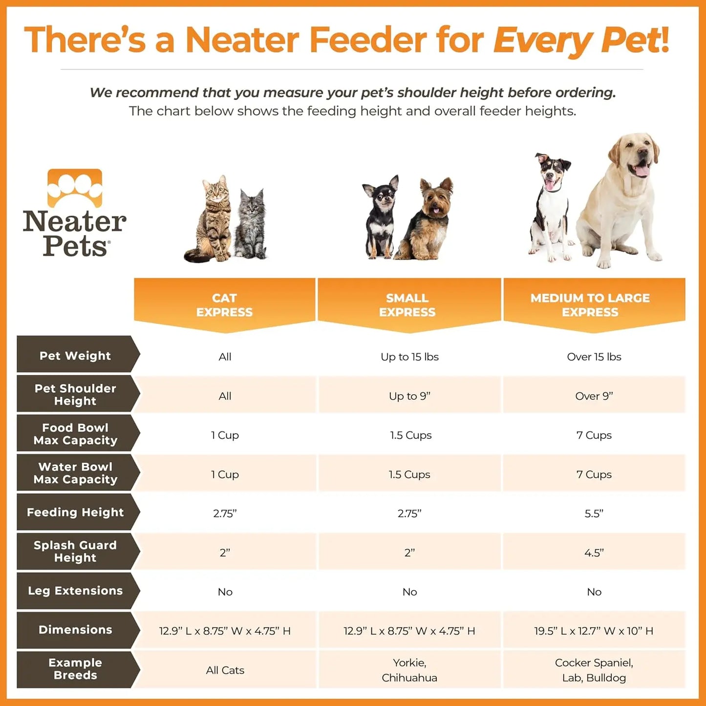 Elevated No-Spill Dog Bowl Set for Medium to Large Breeds, Stainless Steel Feeder with Catch Basin, Grey