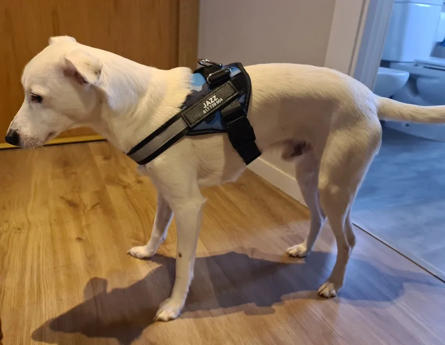 Dog Harness Vest, ID Patch Customized Reflective Breathable Adjustable Pet Harness For Dog