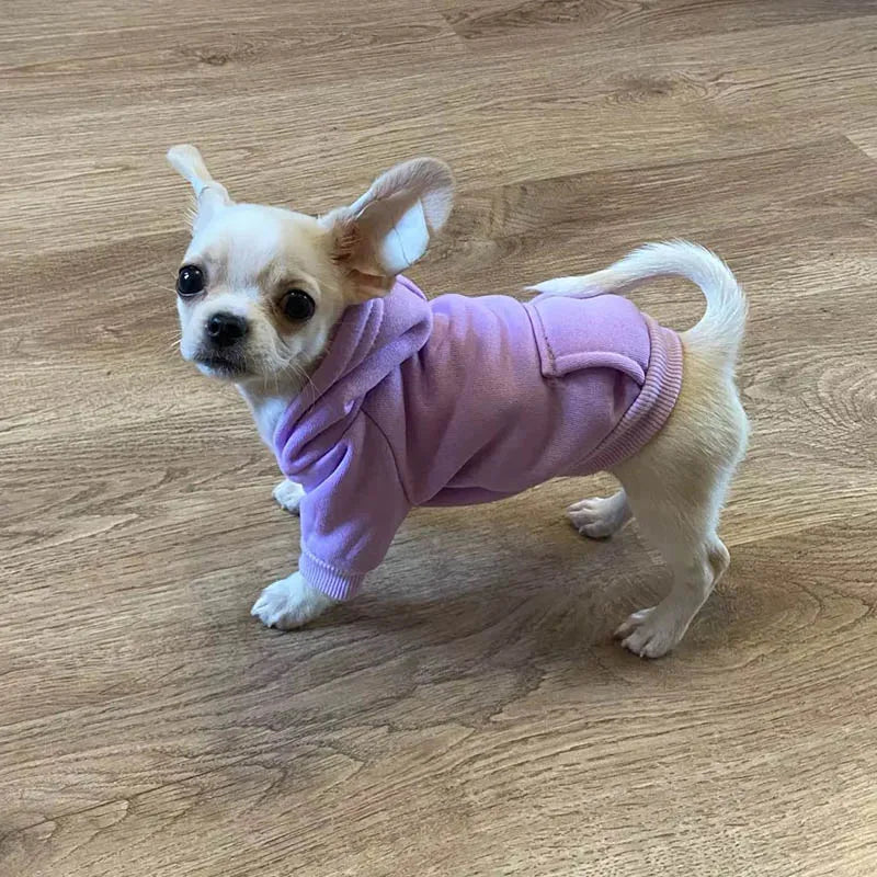 Cozy Pet Clothes with Pocket, Dog Hoodies For Small Dogs,  All Season Knit Cat Clothes