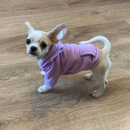 Cozy Pet Clothes with Pocket, Dog Hoodies For Small Dogs,  All Season Knit Cat Clothes