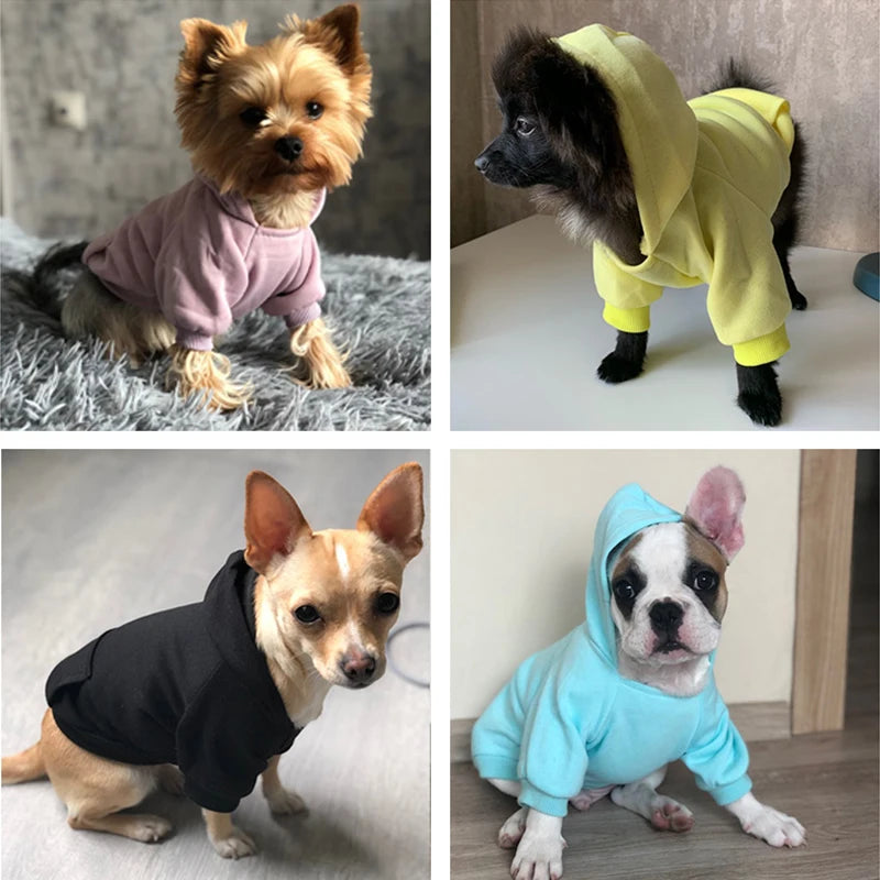 Cozy Pet Clothes with Pocket, Dog Hoodies For Small Dogs,  All Season Knit Cat Clothes