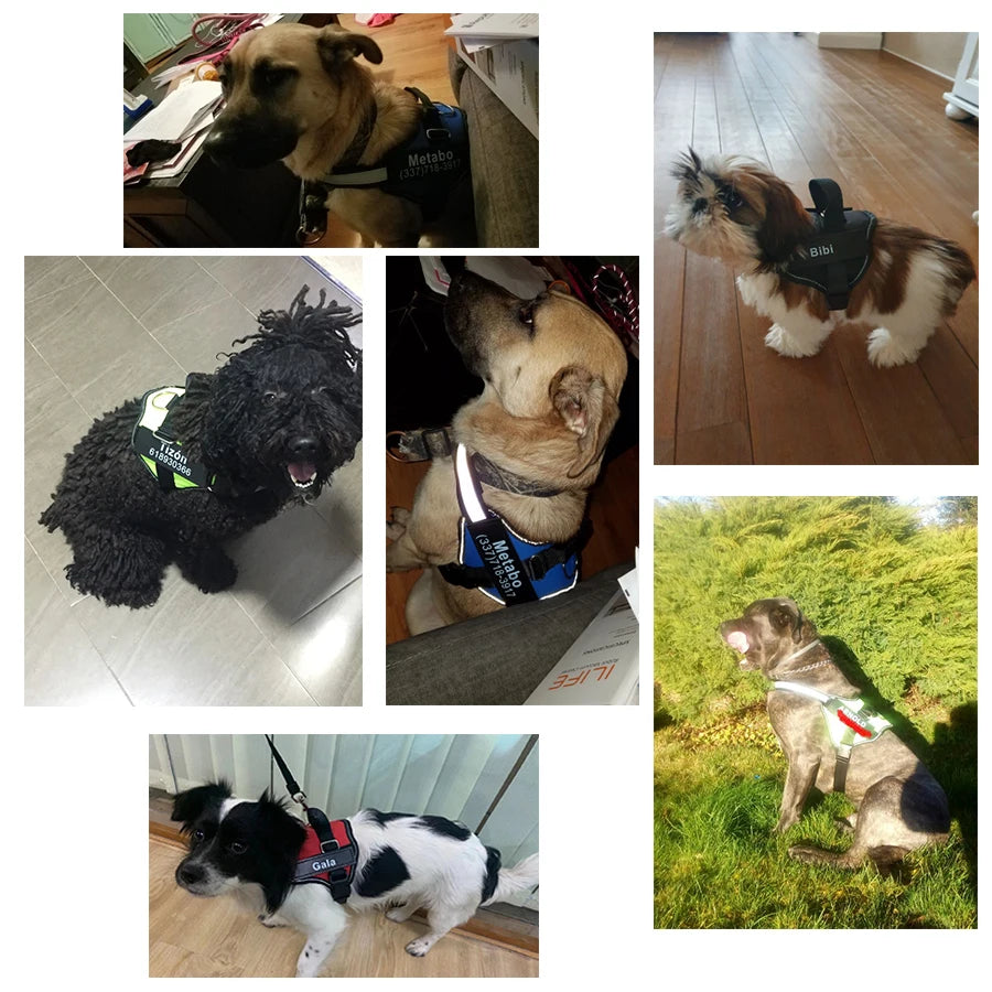 Dog Harness NO PULL Reflective Breathable Adjustable Pet Harness For Dogs