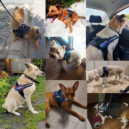 Dog Harness NO PULL Reflective, Breathable, Adjustable Pet Harness Vest with ID Custom Patch Outdoor Walking Dogs