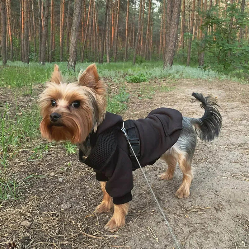 Cozy Pet Clothes with Pocket, Dog Hoodies For Small Dogs,  All Season Knit Cat Clothes