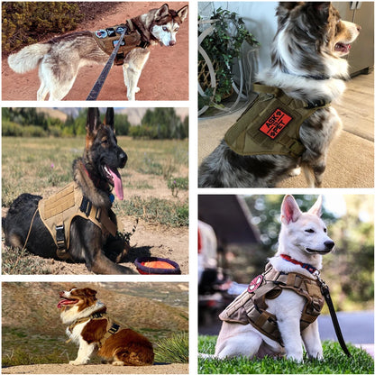 Military Large Dog Harness ,Collar Leash Bags, Patches, Set Pet Malinois Training Vests Tactical Dogs Harnesses Accessories