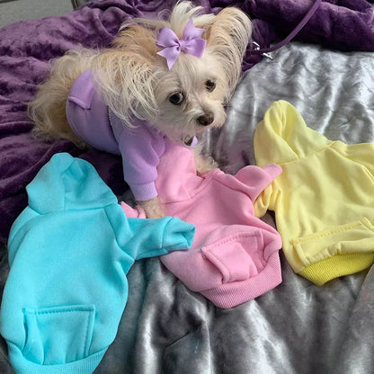 Cozy Pet Clothes with Pocket, Dog Hoodies For Small Dogs,  All Season Knit Cat Clothes