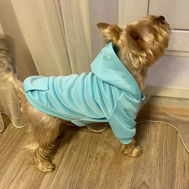 Cozy Pet Clothes with Pocket, Dog Hoodies For Small Dogs,  All Season Knit Cat Clothes