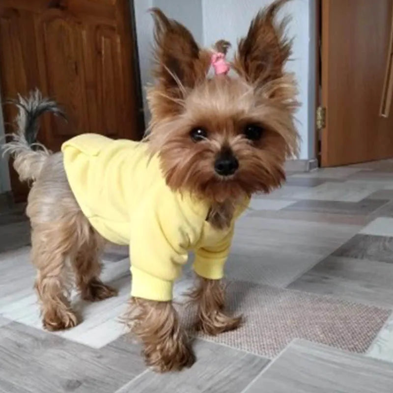Cozy Pet Clothes with Pocket, Dog Hoodies For Small Dogs,  All Season Knit Cat Clothes