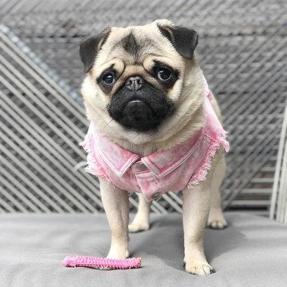 Pet Dog Jeans Jacket Denim, , Small Dog Clothes Spring/Autumn Apparel Fashion