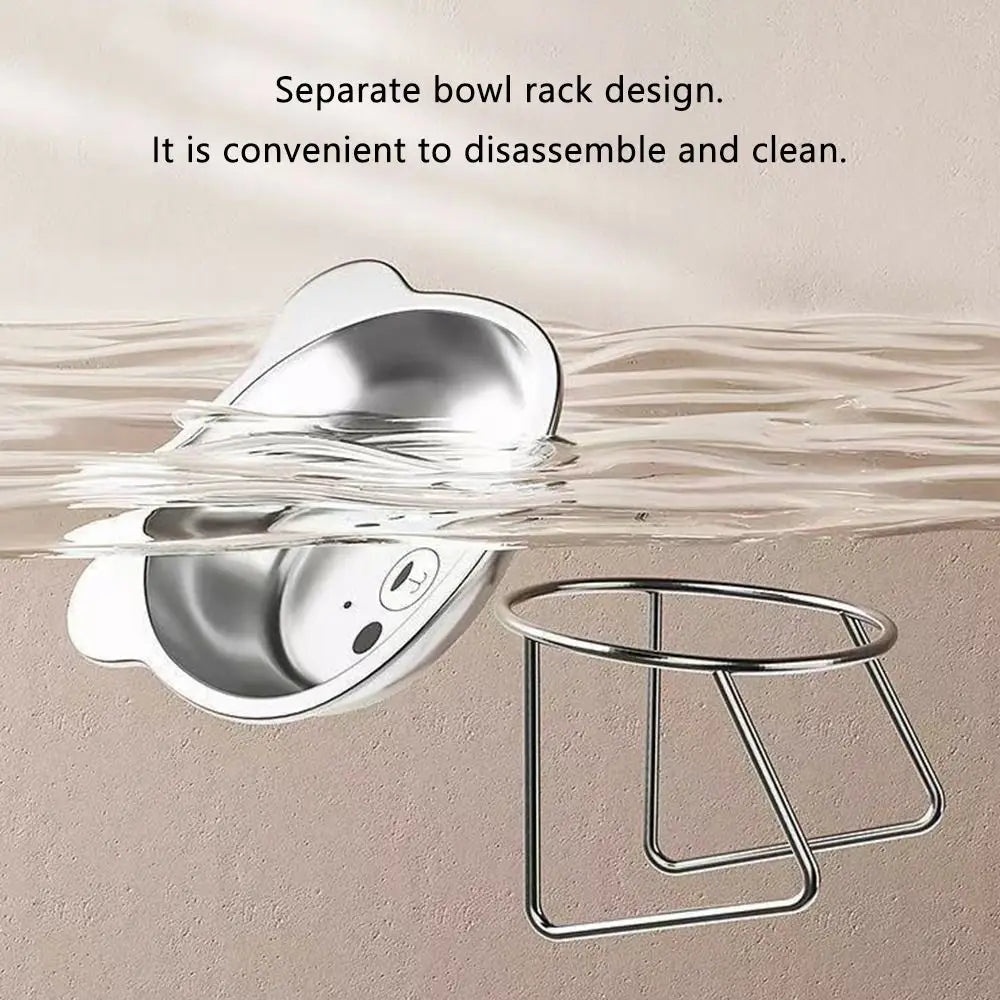 New 304 Stainless Steel Elevated Cat Bowl 15° Tilted Raised Design with Neck Guard, Healthy Feeding, Shatterproof for Cats