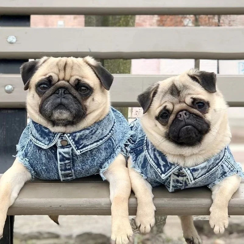 Pet Dog Jeans Jacket Denim, , Small Dog Clothes Spring/Autumn Apparel Fashion