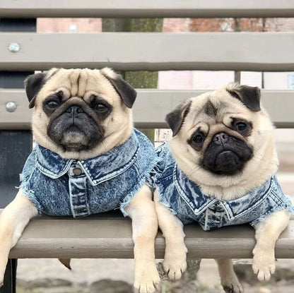 Pet Dog Jeans Jacket Denim, , Small Dog Clothes Spring/Autumn Apparel Fashion
