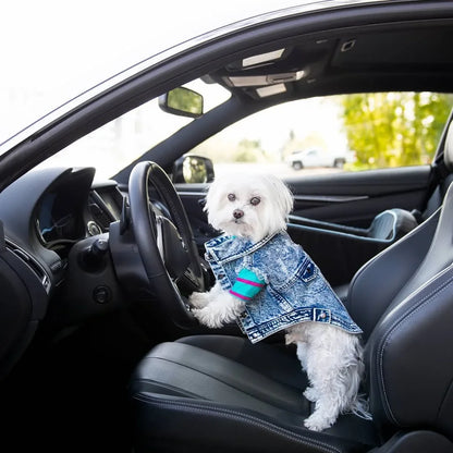 Pet Dog Jeans Jacket Denim, , Small Dog Clothes Spring/Autumn Apparel Fashion