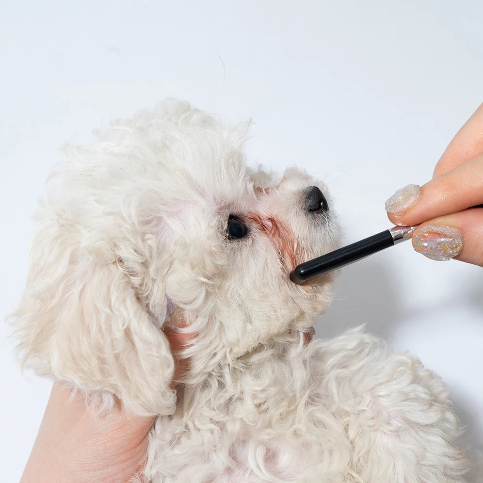 Pet Facial Cleaning Comb Set, Removes Tear Stains, Dog and Cat Hair Repair Scissors, Hair Comb