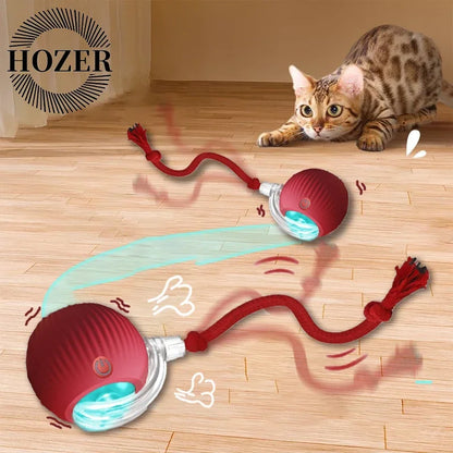 2Pcs Cat Interactive Ball, Automatic Rolling Ball Faux Tail ,Rechargeable Smart Pet Electric, Imitates a mouse