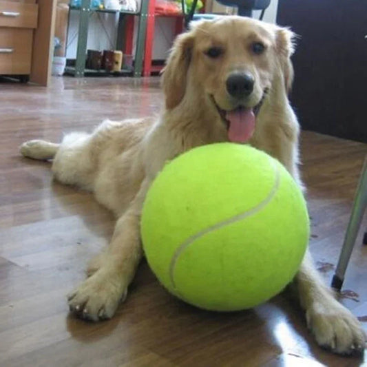 9.5'Giant Tennis Ball For Dogs