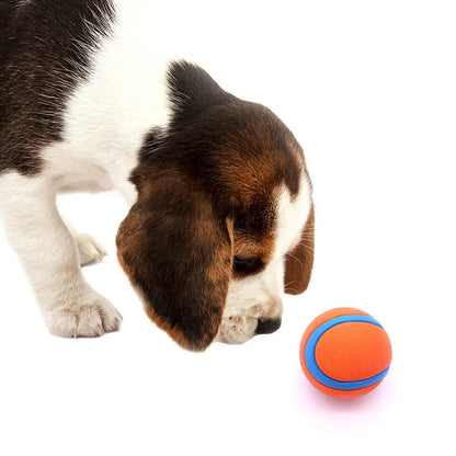 Natural Rubber Pet Bouncy Ball, Ultra Durable & High Elasticity, Interactive Chew Toy for Dogs of All Sizes