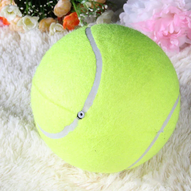 9.5'Giant Tennis Ball For Dogs