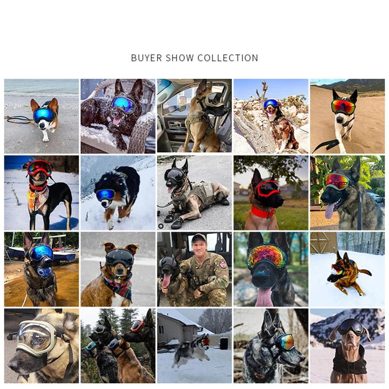Dog Goggles Anti-UV, Sun Glasses, Eyewear Protection Adjustable and Windproof