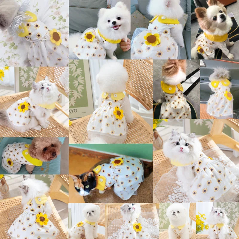 Cute Dog Princess Summer Dress, Poodle, Chihuahua Dog Clothes