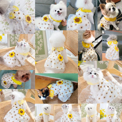 Cute Dog Princess Summer Dress, Poodle, Chihuahua Dog Clothes