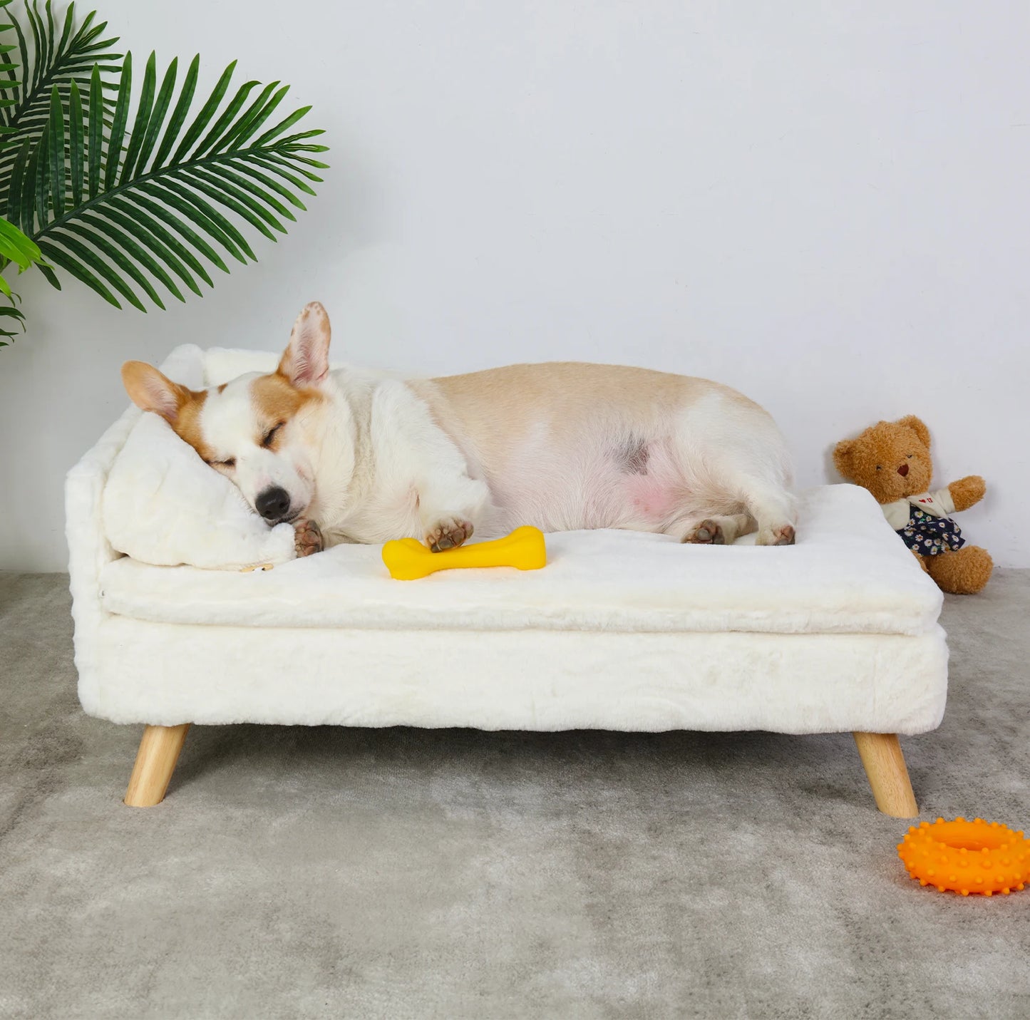 Elevated Pet Bed,Nordic Pet Stool Bed with Cozy Pad, Waterproof, with Sturdy Wood Legs for Small Dog or Kitten