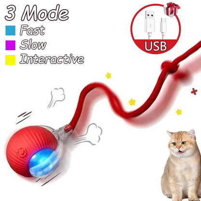 2Pcs Cat Interactive Ball, Automatic Rolling Ball Faux Tail ,Rechargeable Smart Pet Electric, Imitates a mouse