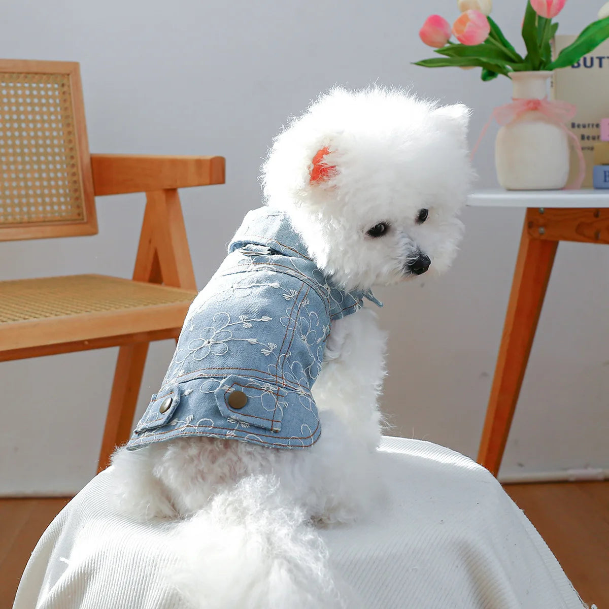 Denim Doggie Pet Jacket, Sleeveless Vest, Jeans Coat, Autumn or Spring Wear,  Apparel For Small, Medium, Dogs or  XS XL sizes for Cat or Puppy