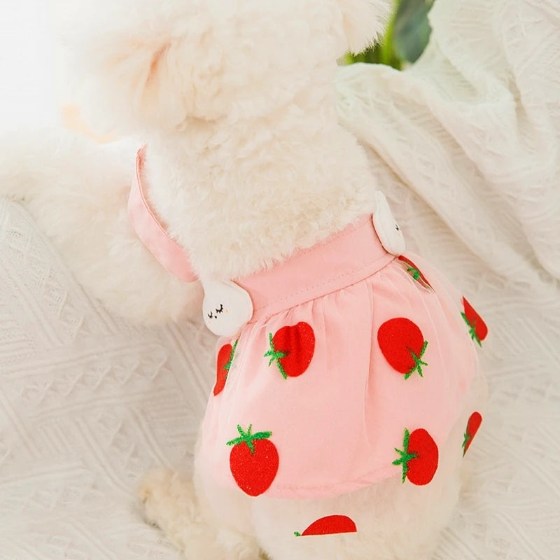 Cute Dog Princess Summer Dress, Poodle, Chihuahua Dog Clothes