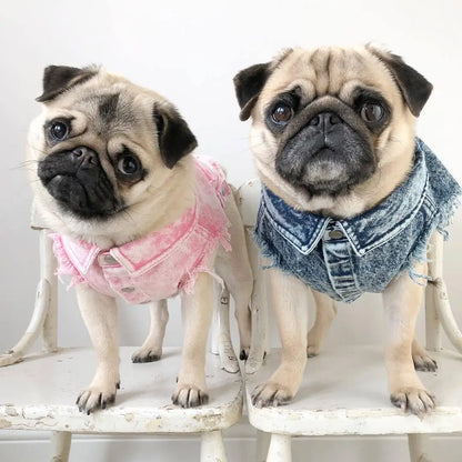 Pet Dog Jeans Jacket Denim, , Small Dog Clothes Spring/Autumn Apparel Fashion