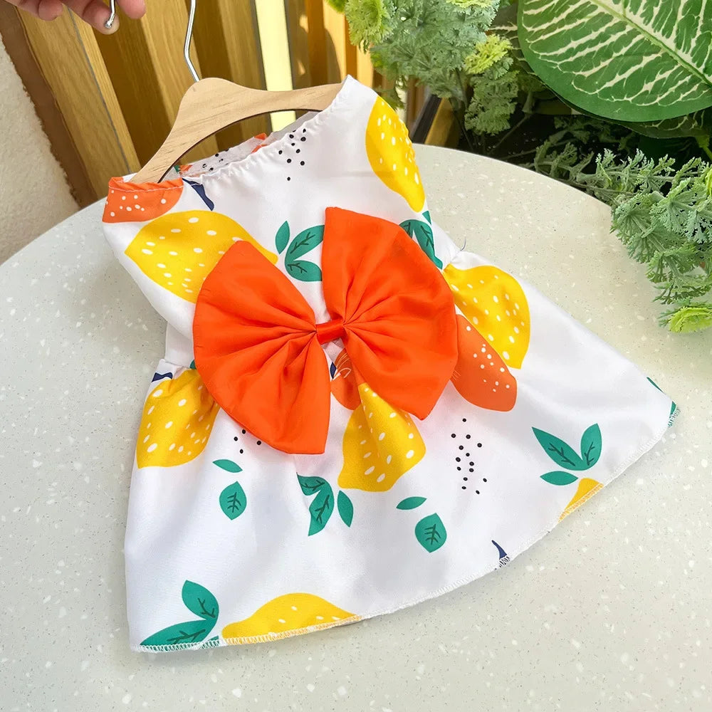 Dog Princess Dress,  Cute Printed Bow Lace,  Dog Dresses for Small, Medium, Puppies... Poodle , Chihuahua