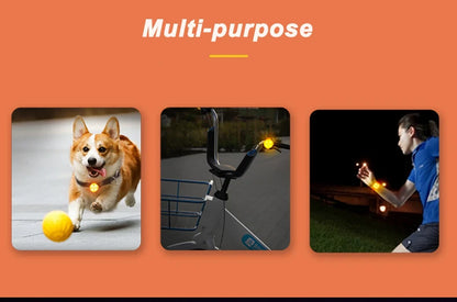 LED Pet Dog and Cat Collar Pendant for Night Safety ,Waterproof ,Flashing Harness With Light