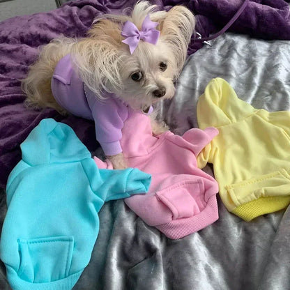 Cozy Pet Clothes with Pocket, Dog Hoodies For Small Dogs,  All Season Knit Cat Clothes