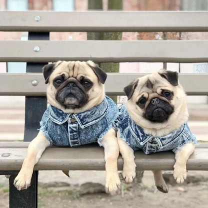 Pet Dog Jeans Jacket Denim, , Small Dog Clothes Spring/Autumn Apparel Fashion