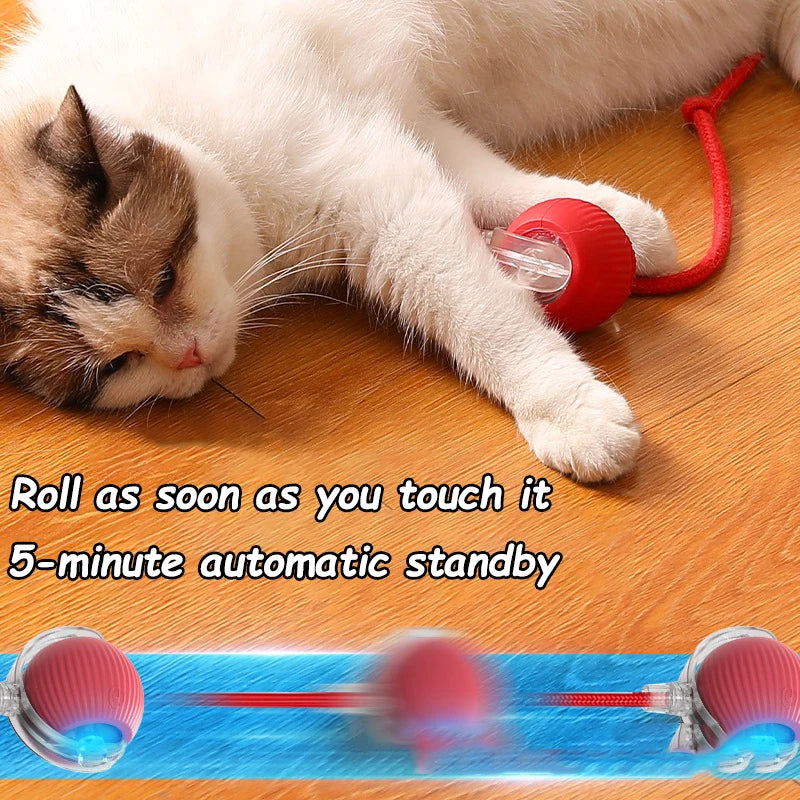 2Pcs Cat Interactive Ball, Automatic Rolling Ball Faux Tail ,Rechargeable Smart Pet Electric, Imitates a mouse
