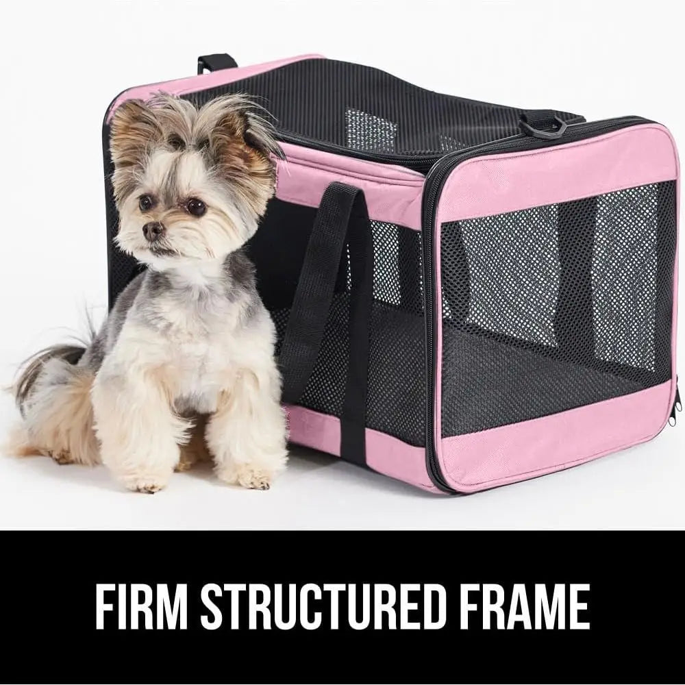 Cat Carrier Travel Bag Up to 15 Lbs,  Collapsible Small Dog Carriers, Top and Side Entry Breathable Mesh