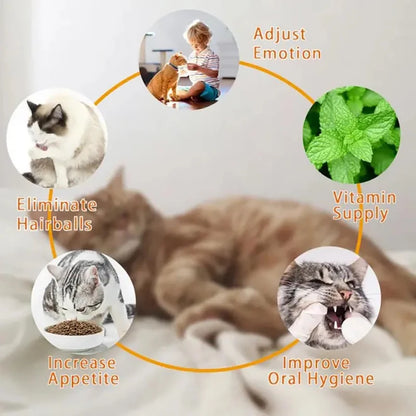 Natural Catnip Toys Silvervine Balls Teeth Cleaning Dental Wall Treats Extra Cat Energy Ball Edible Cat Lick Healthy Kitten Chew