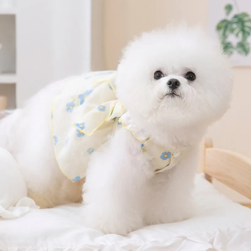 Cute Dog Princess Summer Dress, Poodle, Chihuahua Dog Clothes