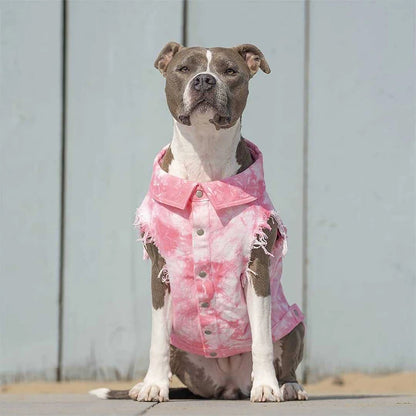 Pet Dog Jeans Jacket Denim, , Small Dog Clothes Spring/Autumn Apparel Fashion