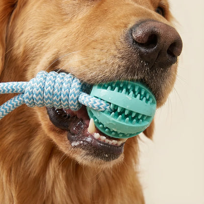 Cotton Rope & Rubber Dog Chew Ball,18x13cm, Durable, for Boredom & Teething