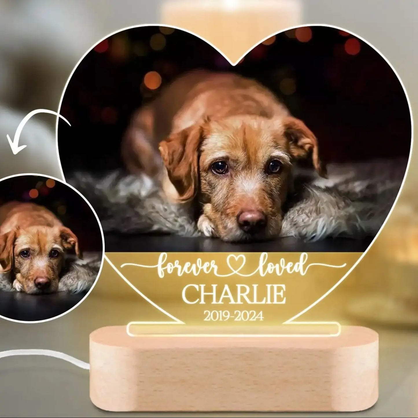 Custom Dog or Any Pet Photo Night Light, Pet Memoral Gift, Light Up Pet Memorial Plaque