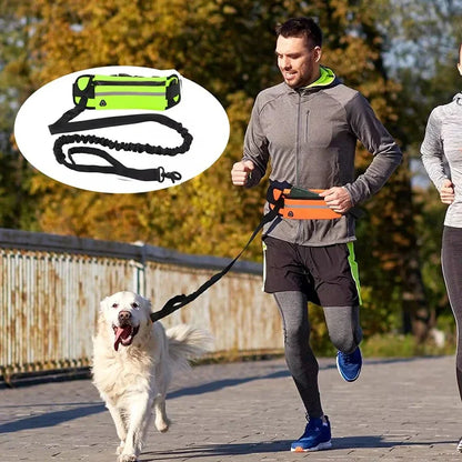 Hands Free Dog Leash for Running, Walking, Reflective Leash with Waist Bag, Retractable Elastic Belt