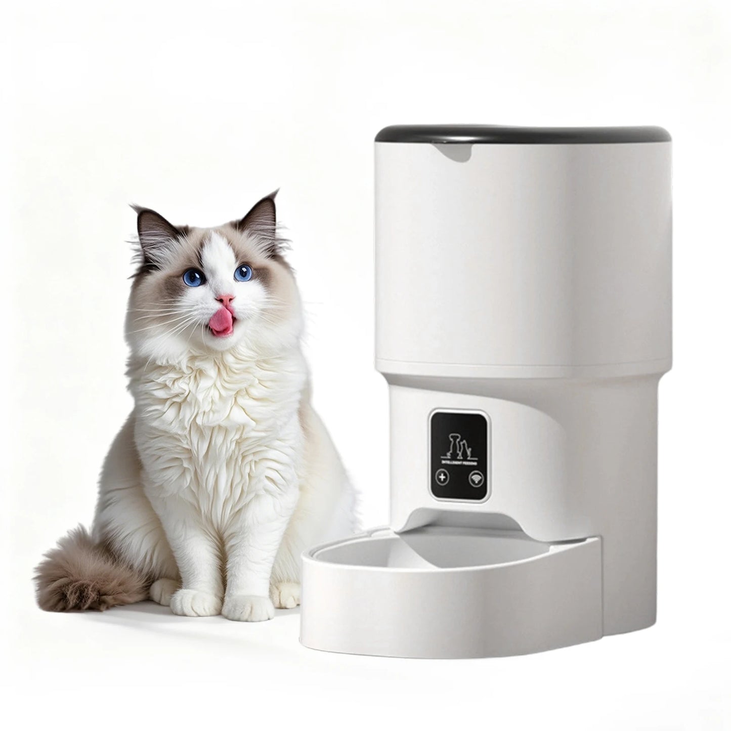 Programmable 4L Automatic Pet Feeder for Small Dogs and Cats, Up to 6 Meals Daily, Timer/Portion Control, Pet Feeding Food Dispenser