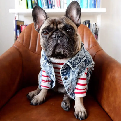 Pet Dog Jeans Jacket Denim, , Small Dog Clothes Spring/Autumn Apparel Fashion
