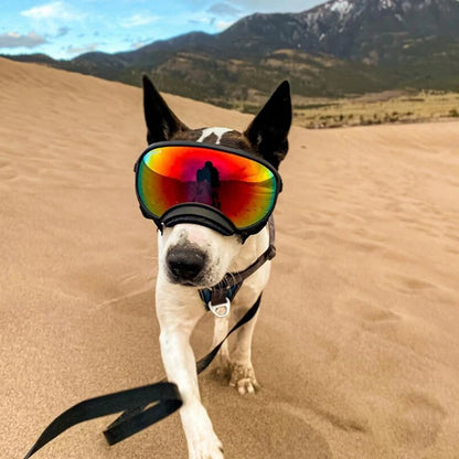 Dog Goggles Anti-UV, Sun Glasses, Eyewear Protection Adjustable and Windproof