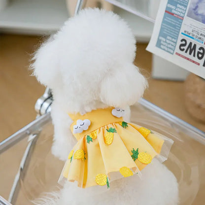 Cute Dog Princess Summer Dress, Poodle, Chihuahua Dog Clothes