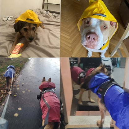 Dog Raincoat, Waterproof Hoodie,  Rain Poncho, Pet Rainwear Clothes with Reflective Stripe for All Sizes