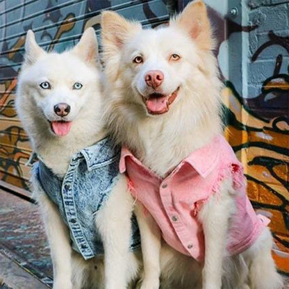 Pet Dog Jeans Jacket Denim, , Small Dog Clothes Spring/Autumn Apparel Fashion