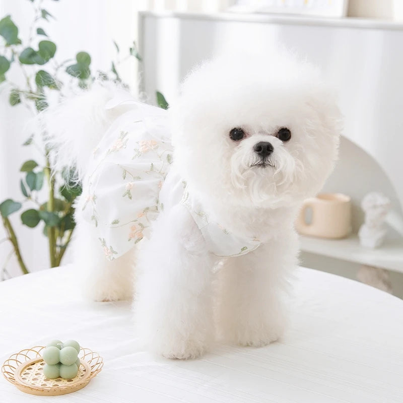 Cute Dog Princess Summer Dress, Poodle, Chihuahua Dog Clothes